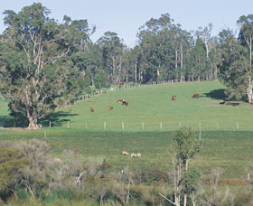 Scenic Drives - Bunbury Collie Donnybrook - Attractions Perth