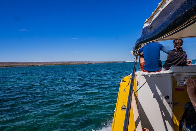 Ningaloo Immersion Private Charter - Attractions Perth